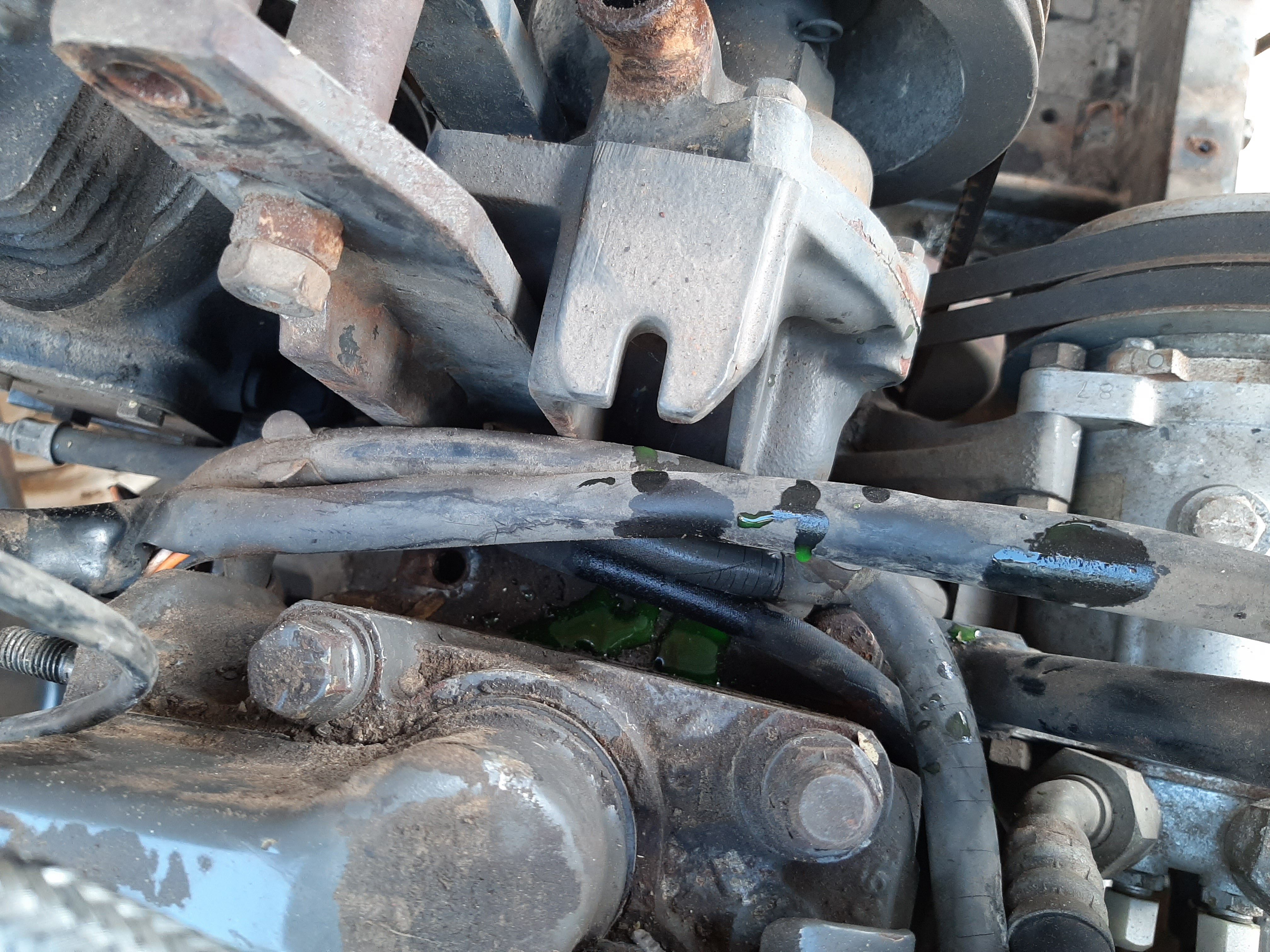 Motor